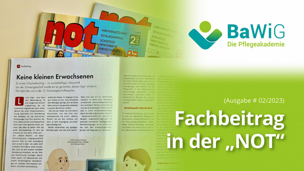 BaWiG - Grafik des Gast-Fachbeitrags in der "NOT"-Ausgabe 02/2023